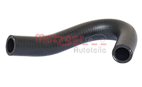 Radiator Hose (2420137)