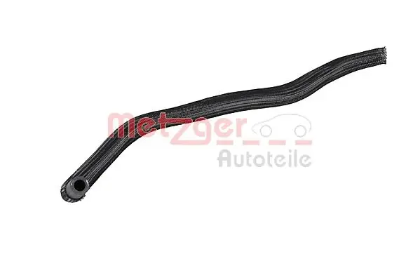 Radiator Hose (2421144)