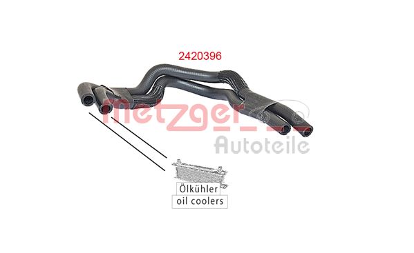 Radiator Hose (2420396)