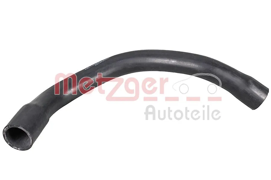 Radiator Hose (2421536)