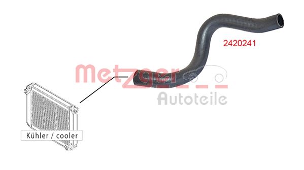 Radiator Hose (2420241)