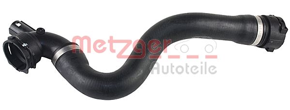 Radiator Hose (2420510)