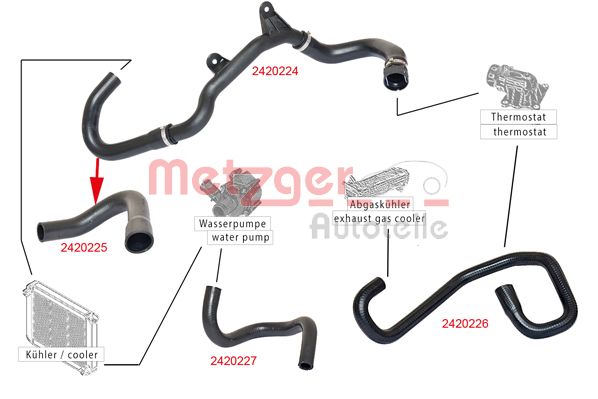 Radiator Hose (2420226)
