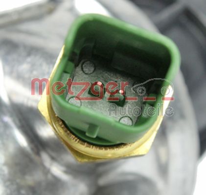 Thermostat, coolant (4006078)
