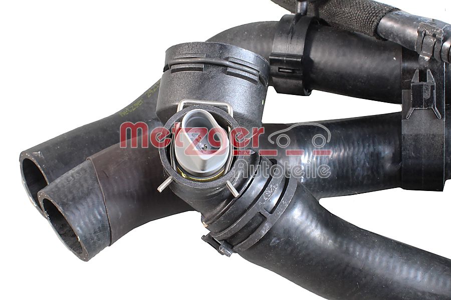 Radiator Hose