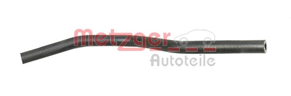 Radiator Hose (2420837)