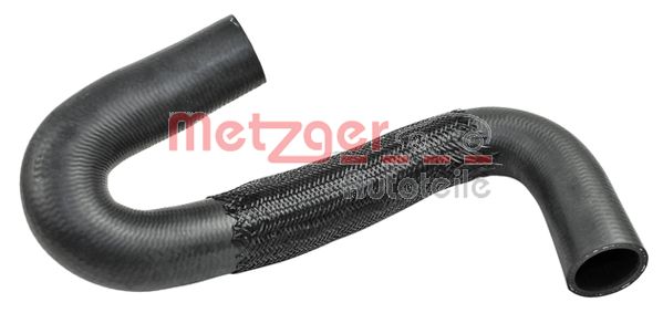 Radiator Hose (2420694)