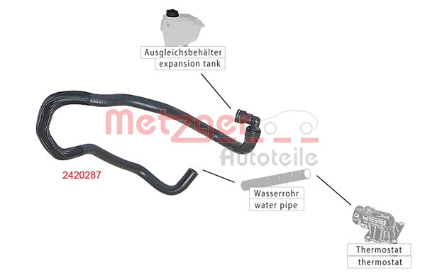 Radiator Hose (2420287)