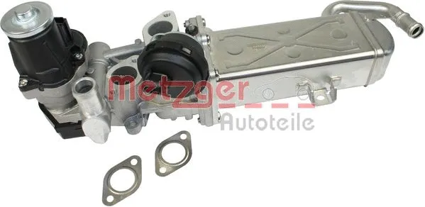 EGR Module (0892460)