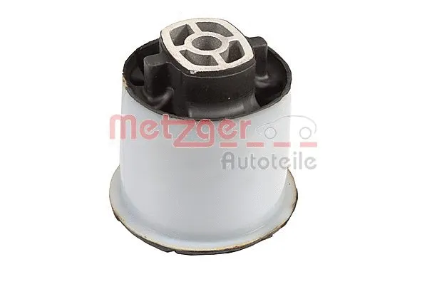 Bushing, axle beam (52103309)