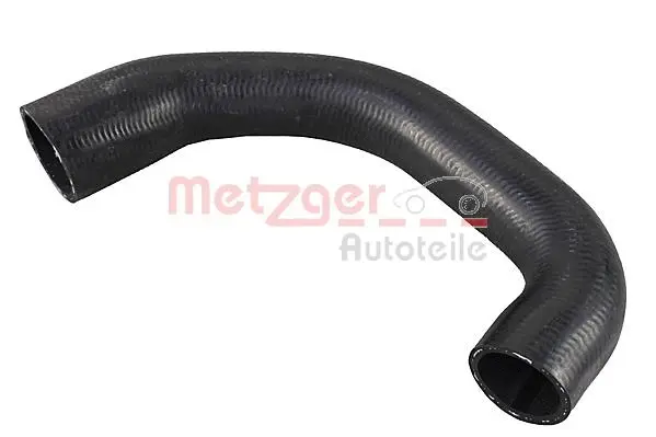 Radiator Hose (2420712)