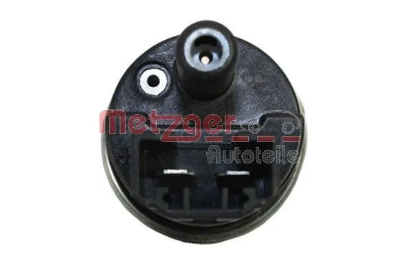 Fuel Pump (2250162)