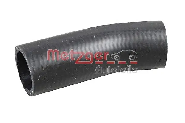 Radiator Hose (2420595)