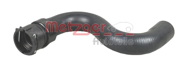 Radiator Hose (2420110)