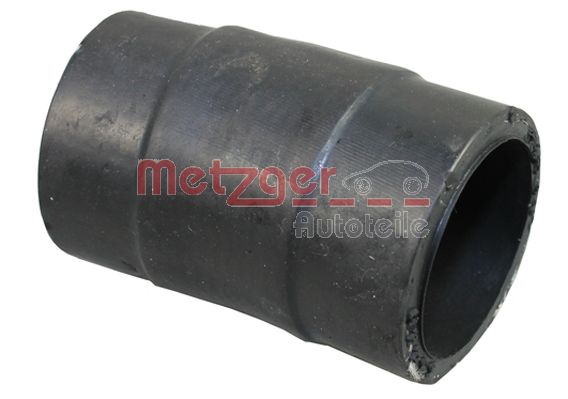 Radiator Hose (2420826)