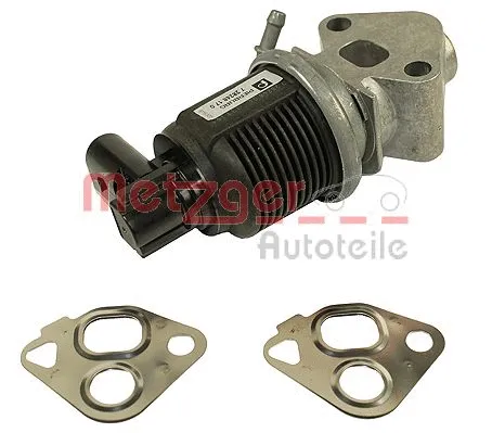 EGR Valve (0892051)