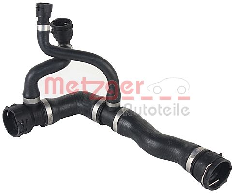 Radiator Hose (2420525)