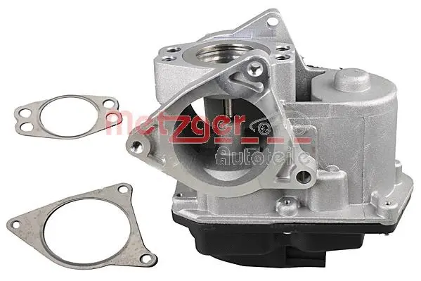 EGR Valve (0892896)
