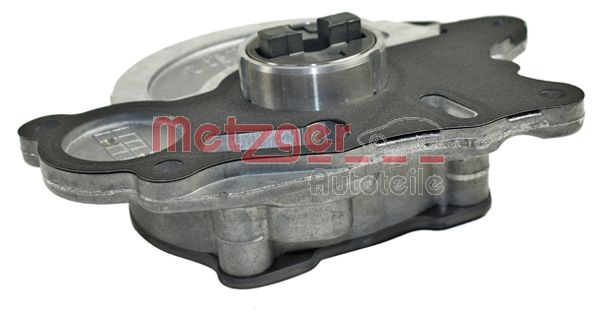 Vacuum Pump, braking system (8010057)