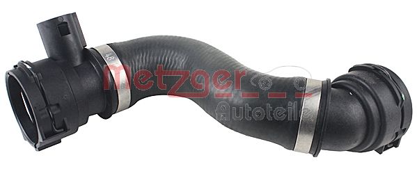 Radiator Hose (2420523)