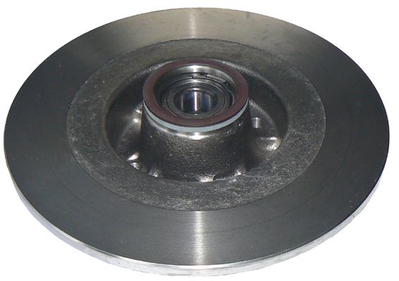 Brake Disc (6110083)