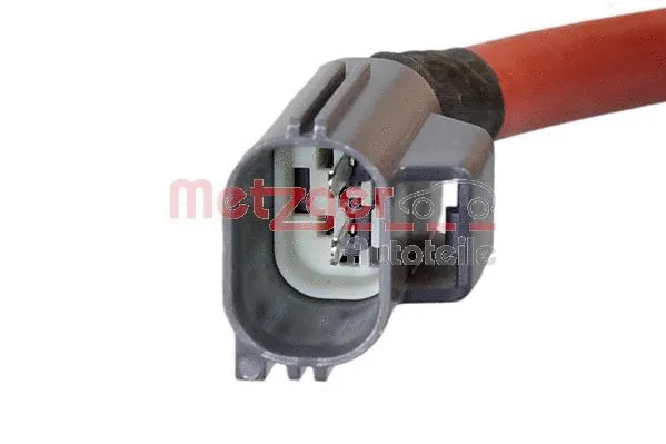 Injection Unit, soot/particulate filter regeneration