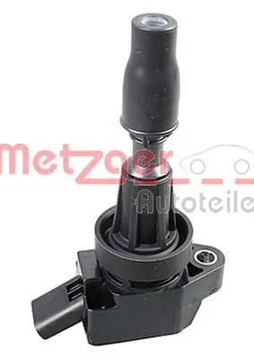 Ignition Coil (0880481)