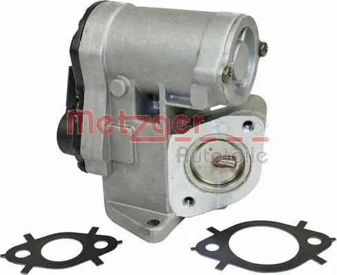 EGR Valve (0892432)