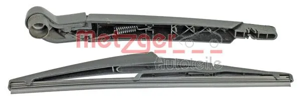 Wiper Arm, window cleaning (2190267)