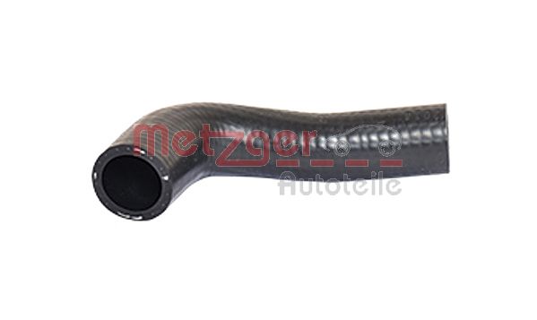 Radiator Hose (2420483)