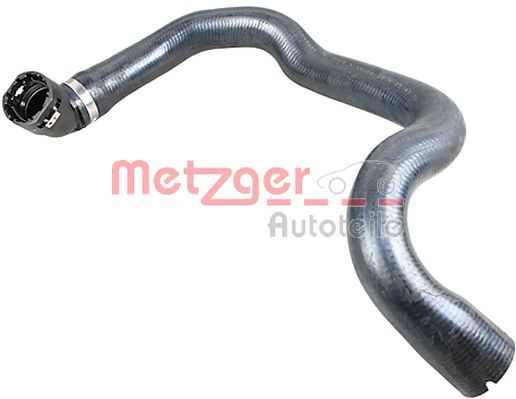 Radiator Hose (2420937)