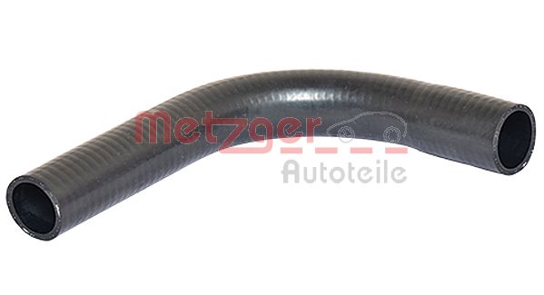 Radiator Hose (2420363)
