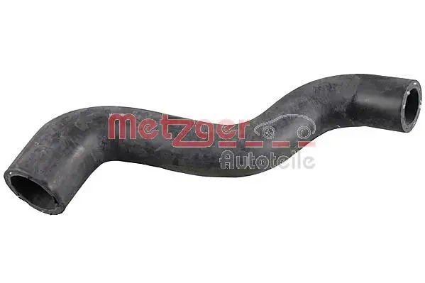 Radiator Hose (2421309)