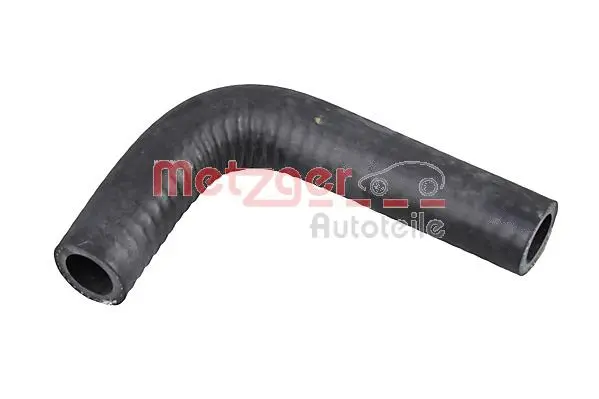 Radiator Hose (2420229)
