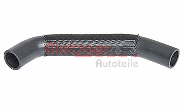 Radiator Hose (2420294)