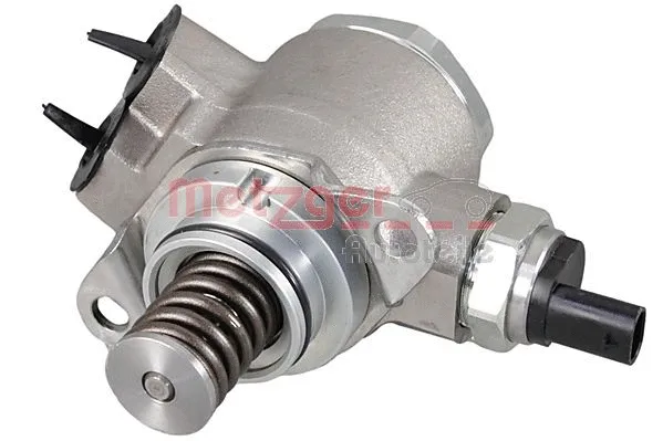 High Pressure Pump (2250501)