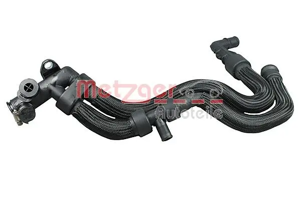 Radiator Hose (2420711)