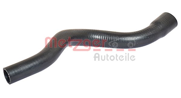 Radiator Hose (2420290)