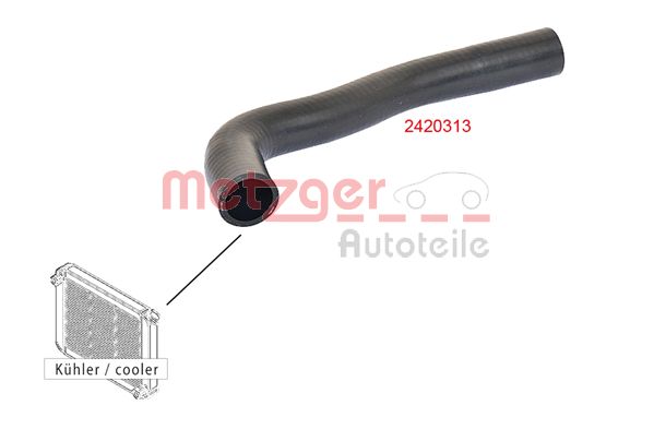 Radiator Hose (2420313)