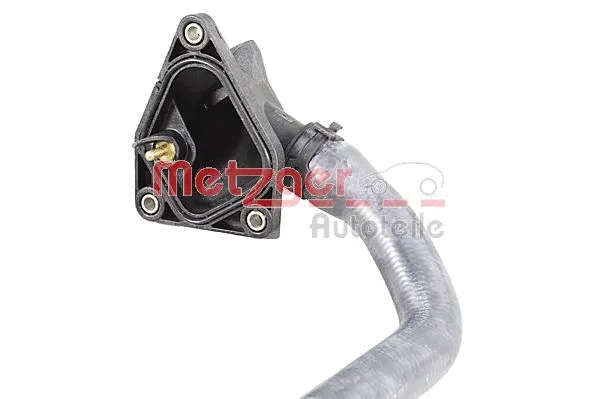 Radiator Hose