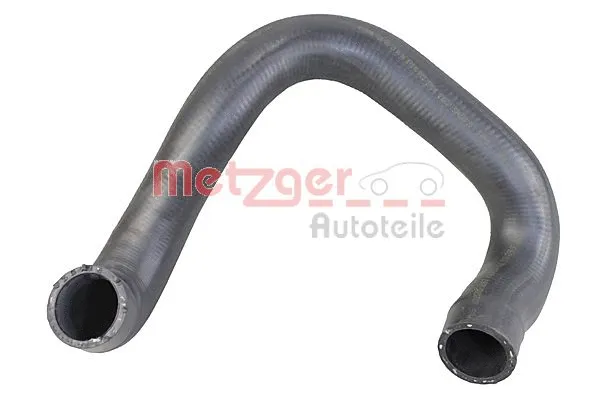 Radiator Hose (2421375)