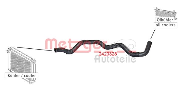 Radiator Hose (2420328)