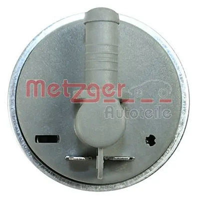Fuel Pump (2250096)