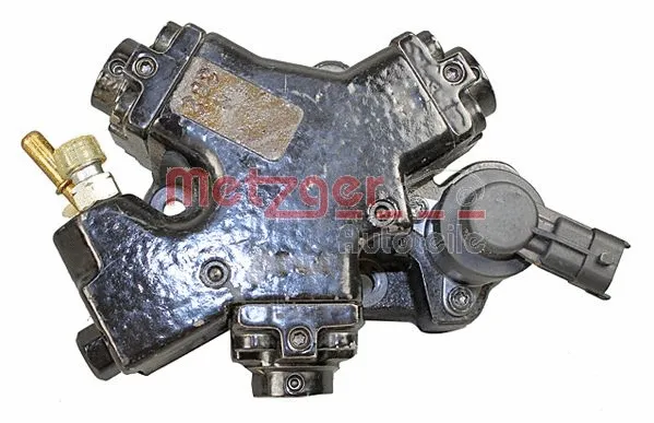 High Pressure Pump (0830109)