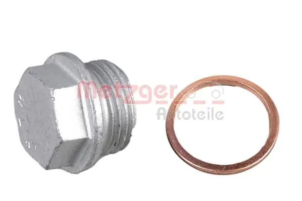 Screw Plug, oil sump (8030090)