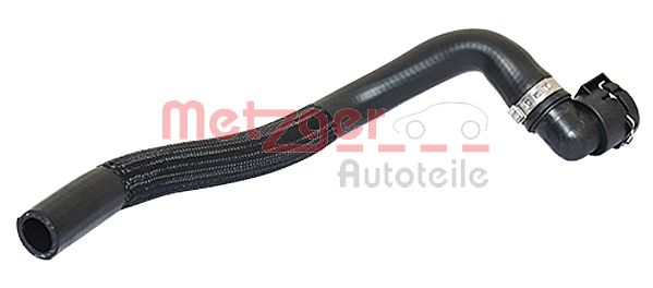 Radiator Hose