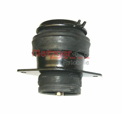 Mounting, engine (8050819)