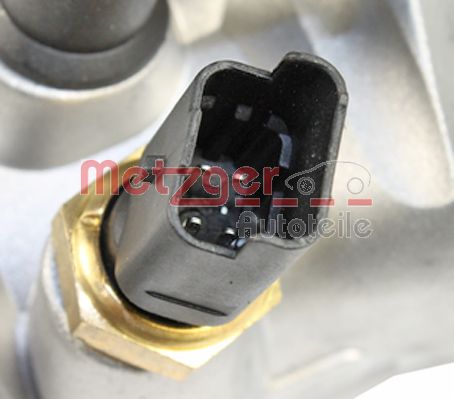 Thermostat, coolant