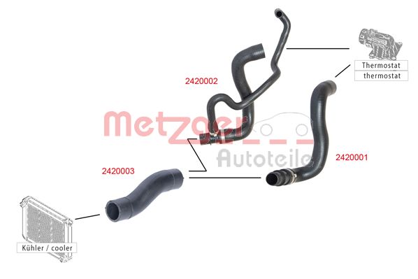 Radiator Hose (2420002)