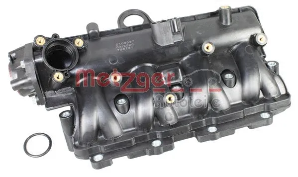 Intake Manifold Module (2100067)